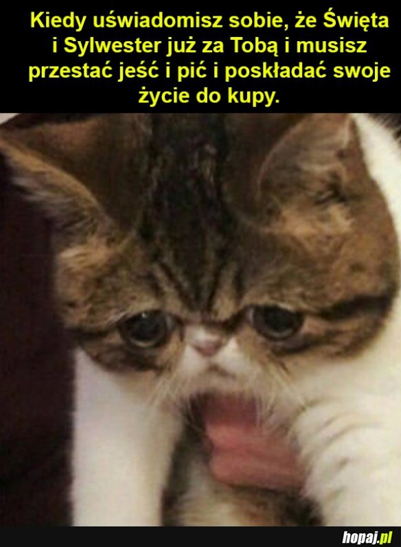 O nie!