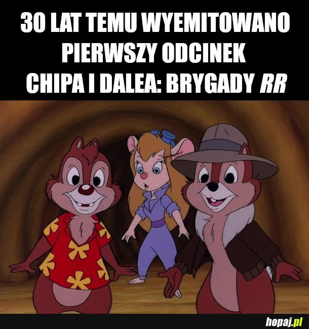 To nie wiewiórki tylko pręgowce amerykańskie 
