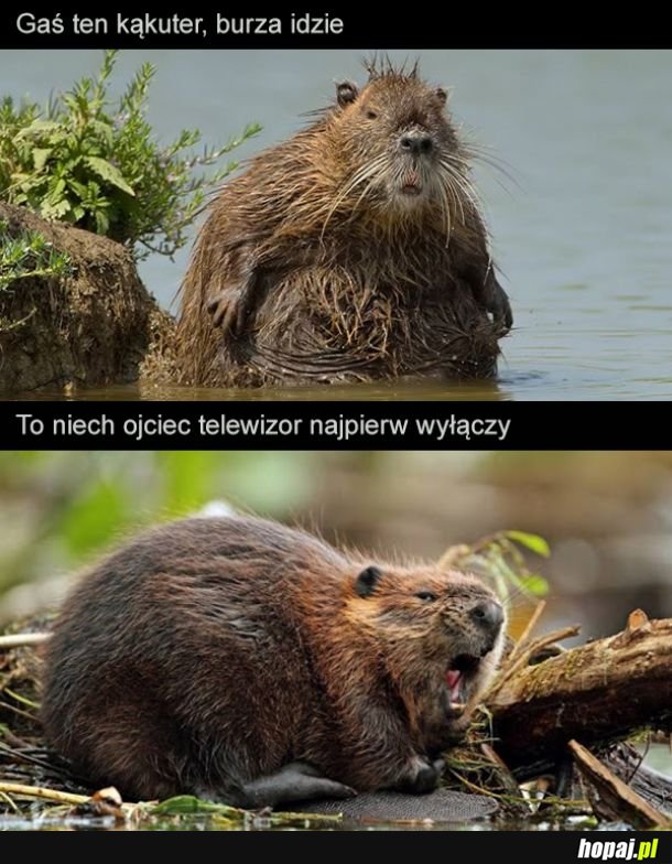 A tak serio, lepiej wyłączcie, burza stulecia idzie