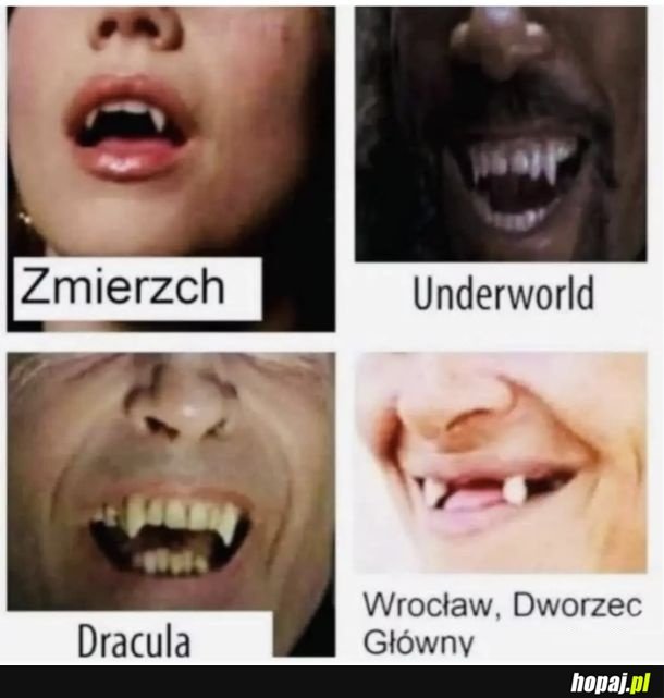 Ah te seksowne wampiry