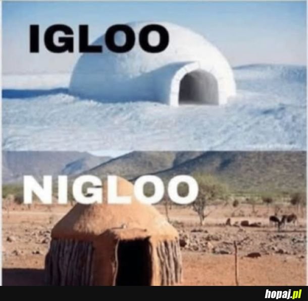 Igloo african version