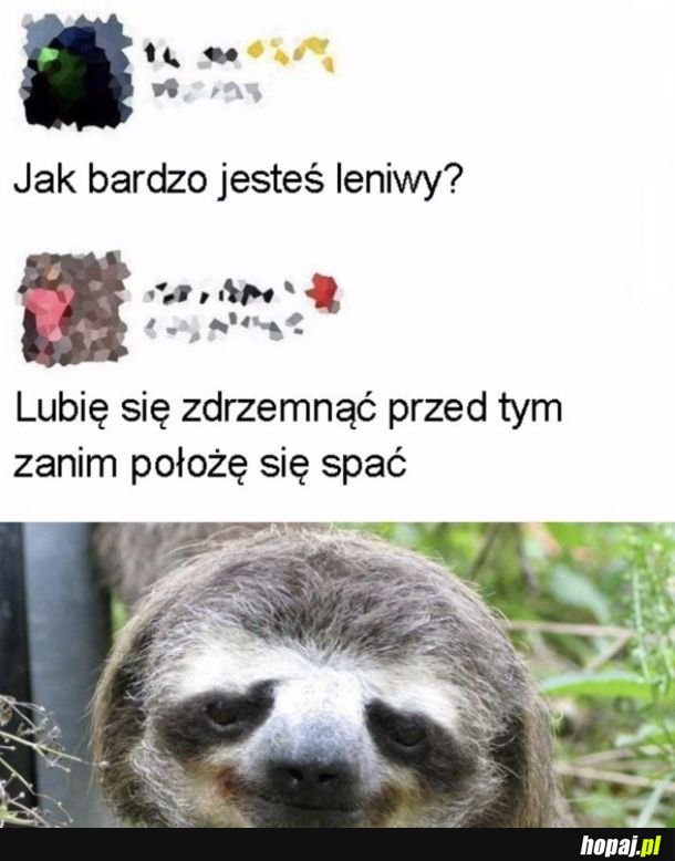 Lenistwo