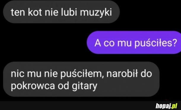 Kot, który nie lubi muzyki