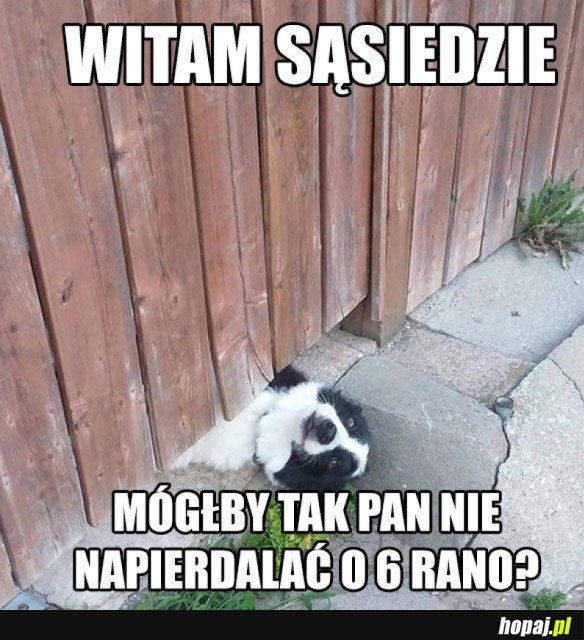 WITAM SERDECZNIE