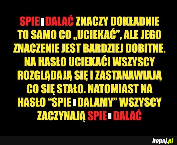 Najlepsze słowo