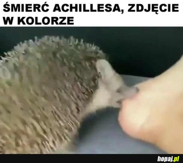 Jedyne takie zdjęcie