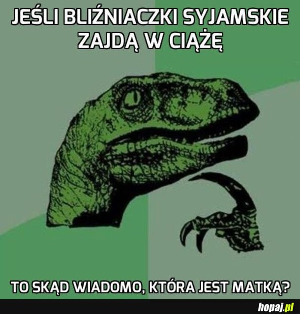 BLIŹNIACZKI SYJAMSKIE