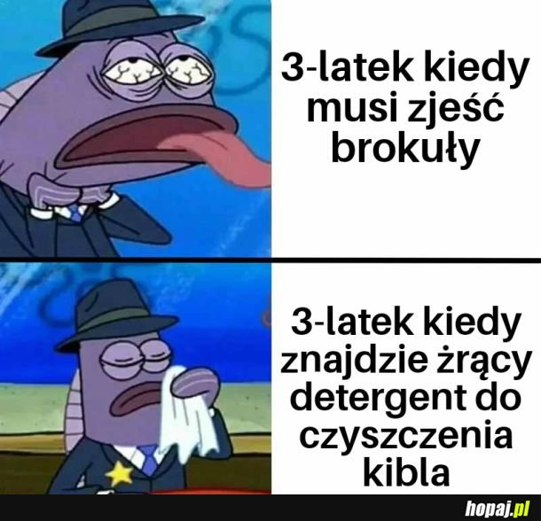 3-latek