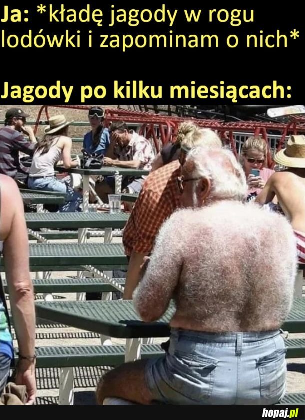 Futerko na jagódkach