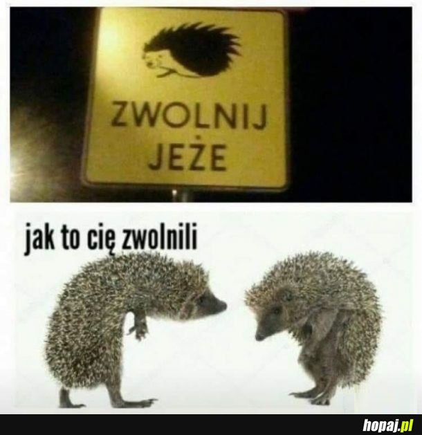 Zwolnij!