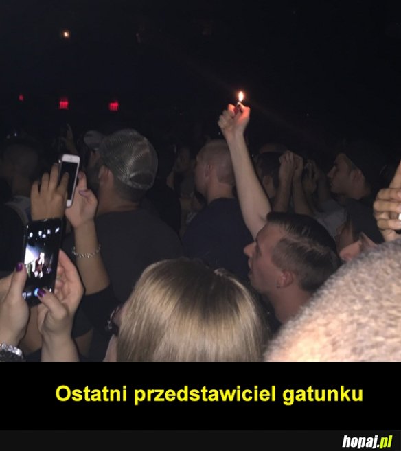 Ostatni przedstawiciel gatunku