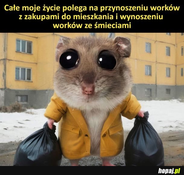 Moje życie be like