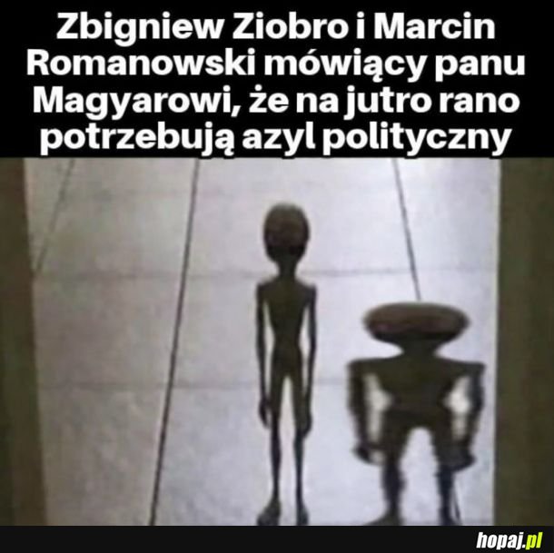 Jest taka sprawa panie madziarze