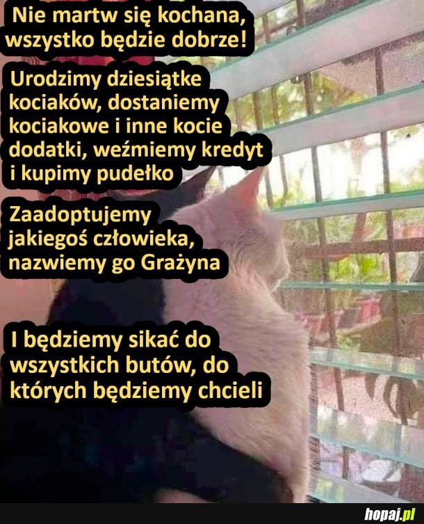 Będzie dobrze