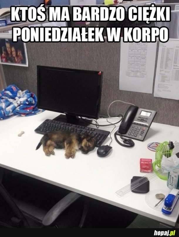 KTOŚ TU USNĄŁ NA STANOWISKU PRACY