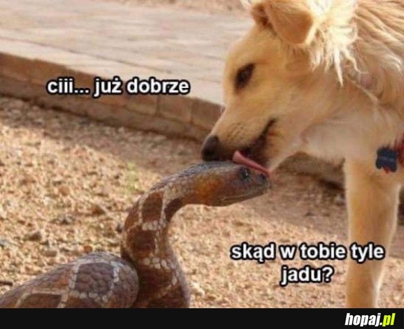 Już dobrze