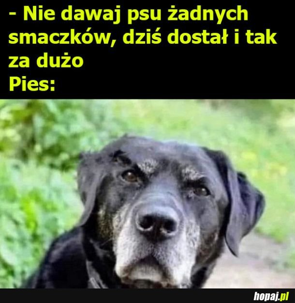 Pieseł