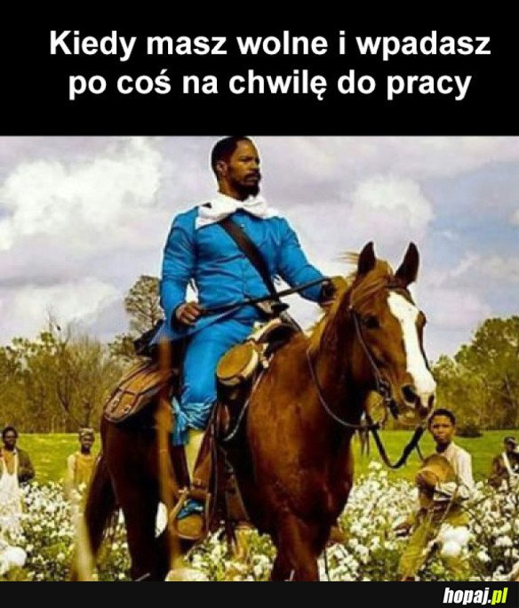 PAN I WŁADCA