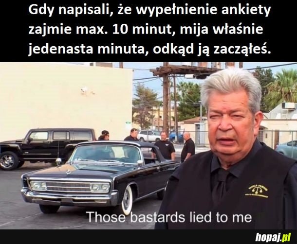Ankieta