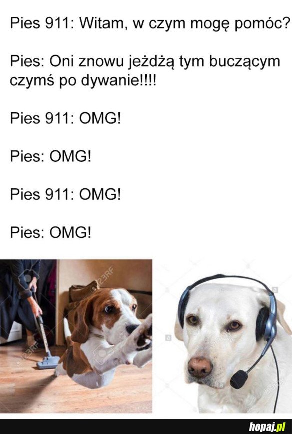 Pies 911