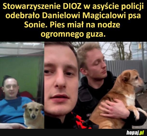 Ledwo wyszedł z więzienia...