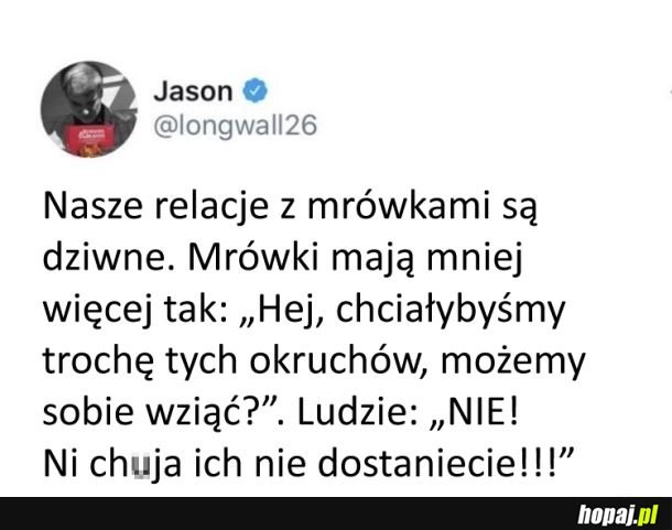 Dziwne relacje z mrówkami