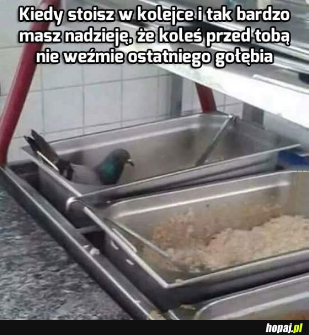 Moje ulubione