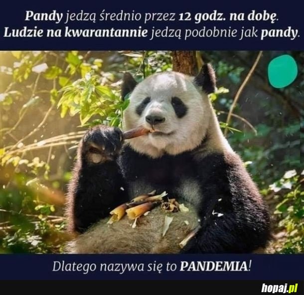 PANDEmia