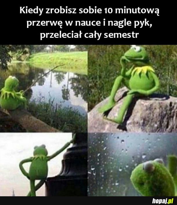 Przerwa w nauce