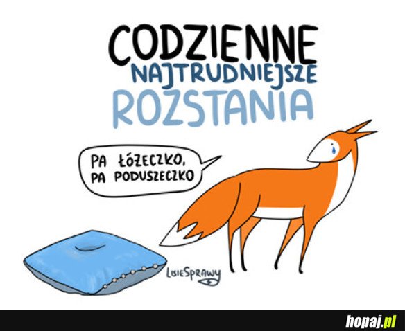 CODZIENNE ROZSTANIE