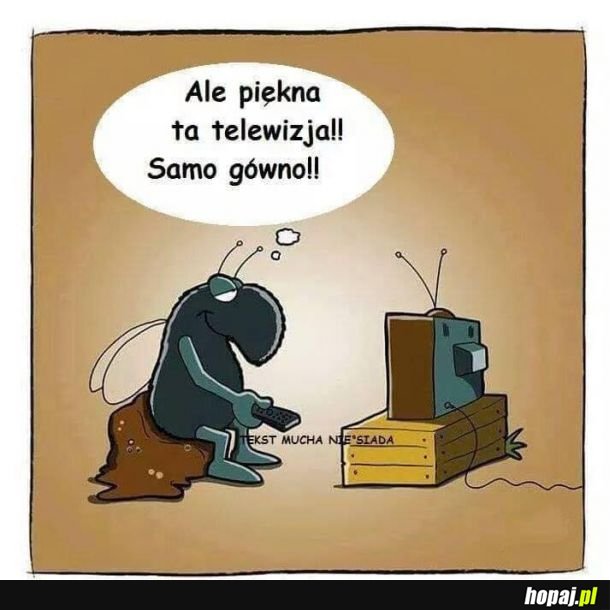  Piękna telewizja 