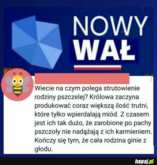 Strutowienie