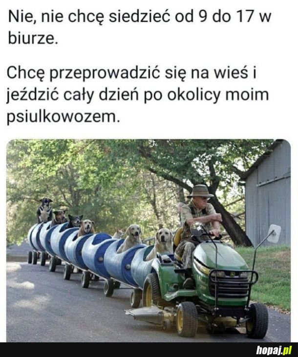 Moje marzenia