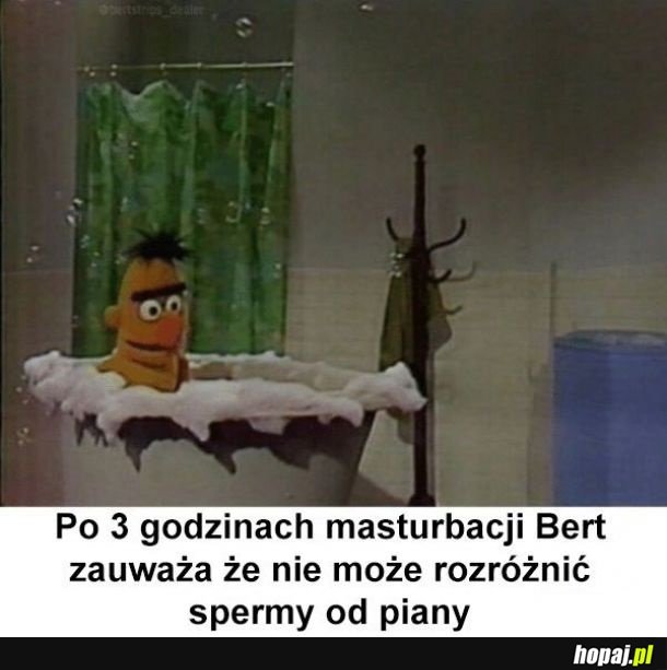 Biedny Bert