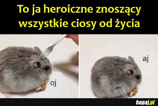 Ciosy od życia