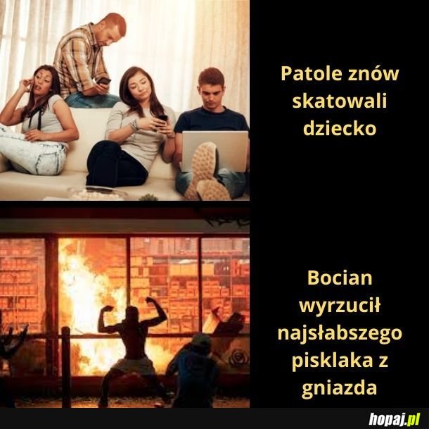 Ludzie oszaleli