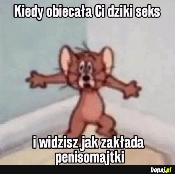 Dziki seks