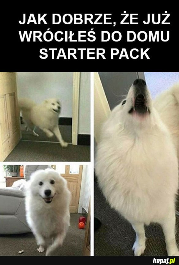 STARTER PACK