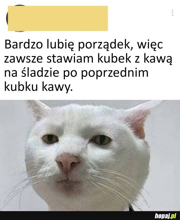 Lubię porządek