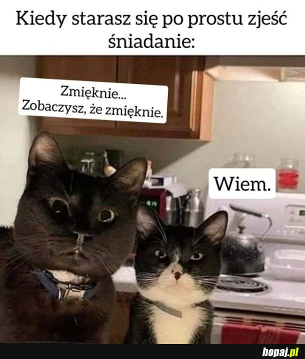 Śniadanko w towarzystwie