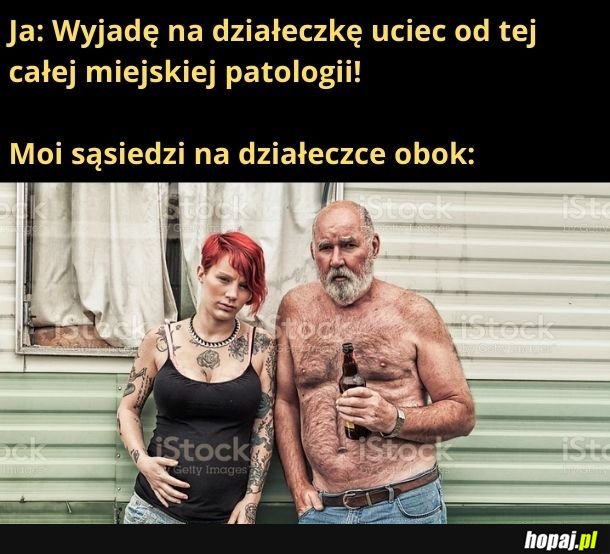 Wyglądają sympatycznie