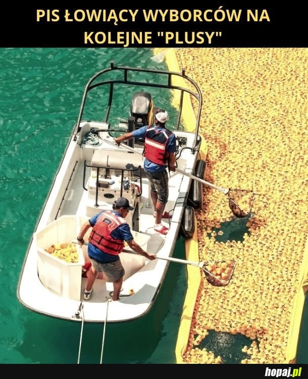 Kaczuszki