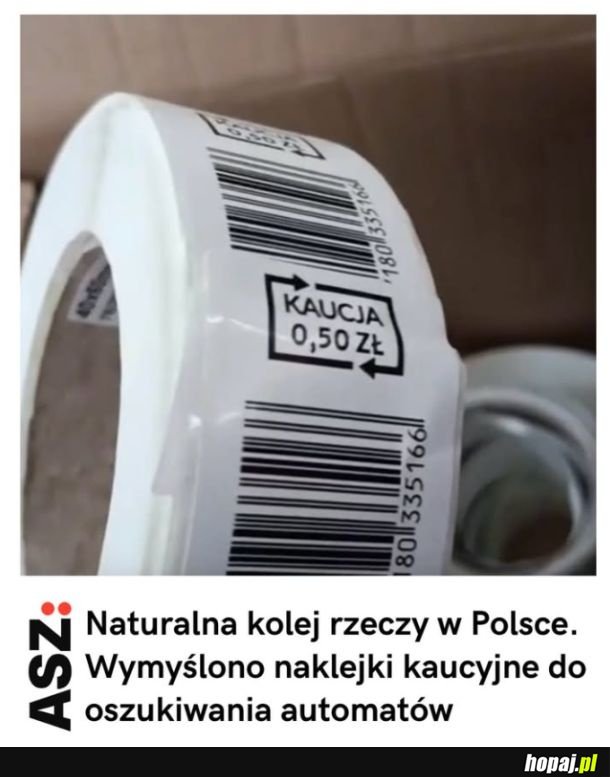 Zaczyna się