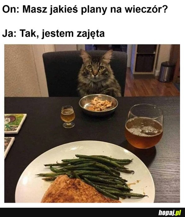 JESTEM ZAJĘTA WIECZOREM