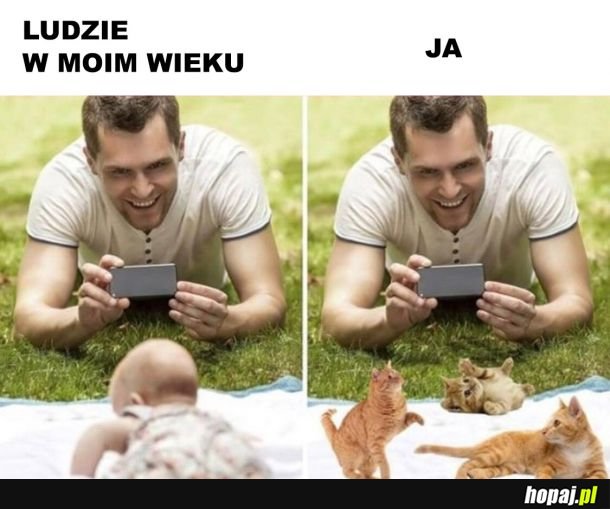  Tak to wygląda 