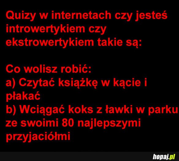 INTERNETOWE QUIZY TAKIE SĄ...