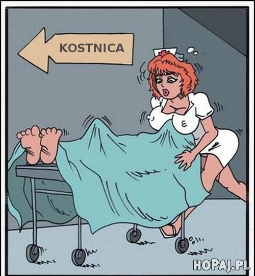 Kostnica