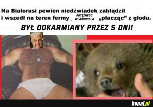 W końcu jakieś dobre informacje