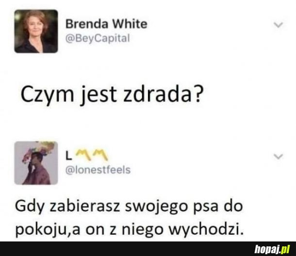  Zagadka rozwiązana