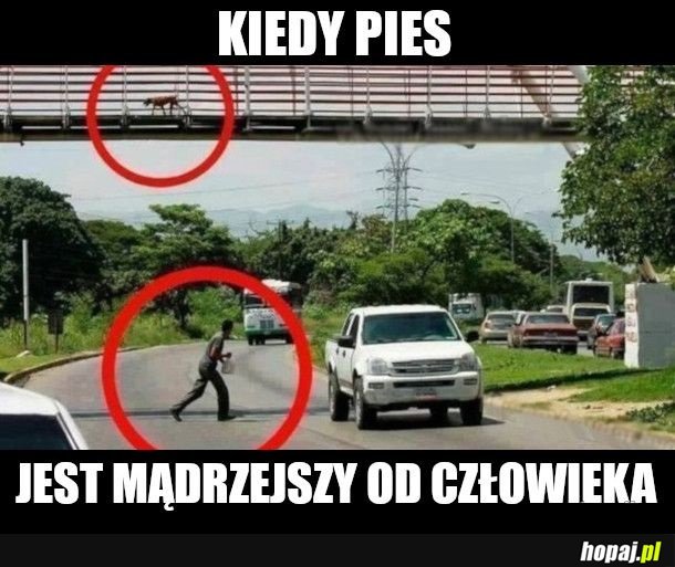 Pieszy